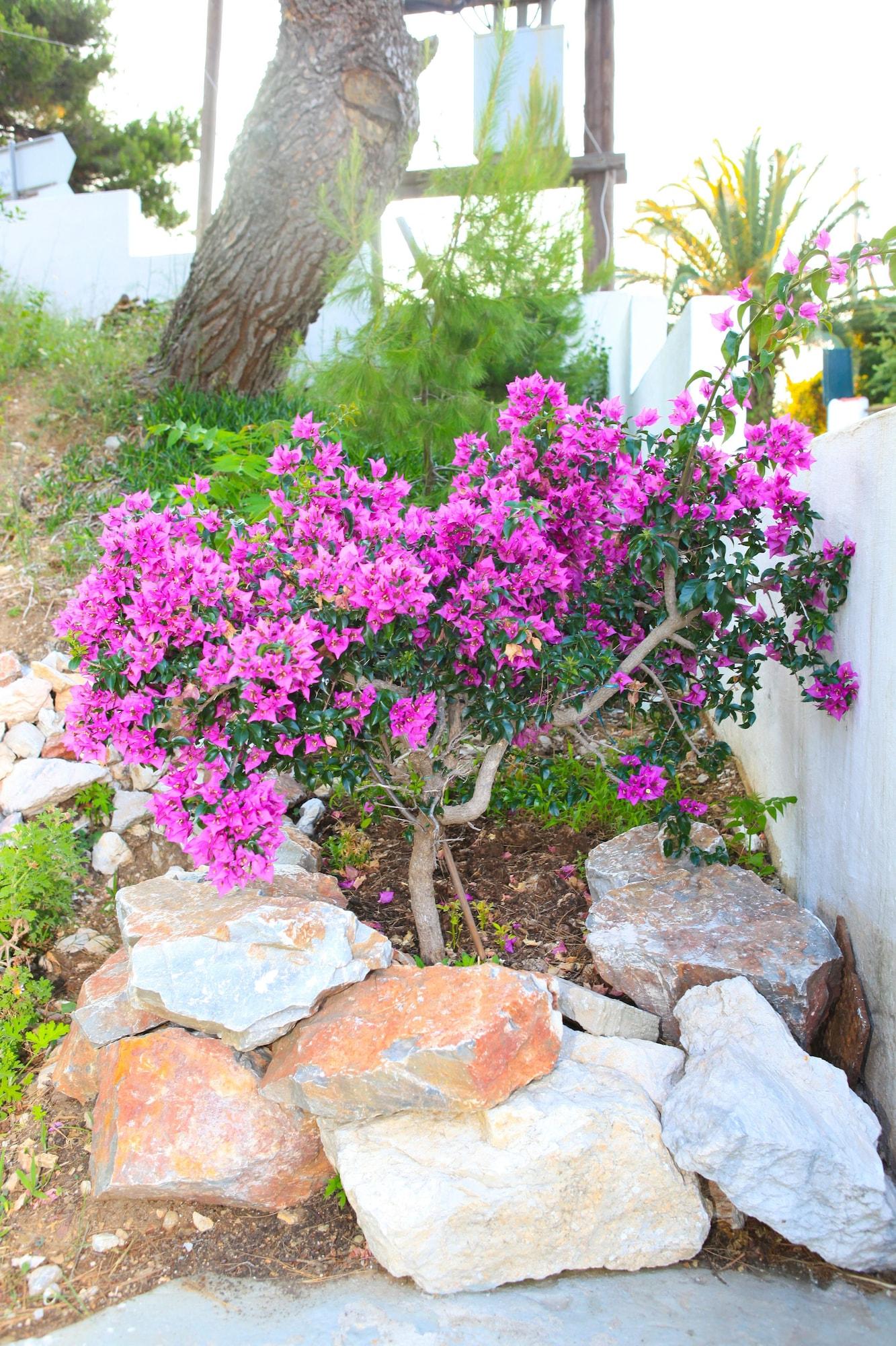 Stafylos Suites & Boutique Hotel Dış mekan fotoğraf